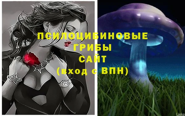 скорость Нязепетровск