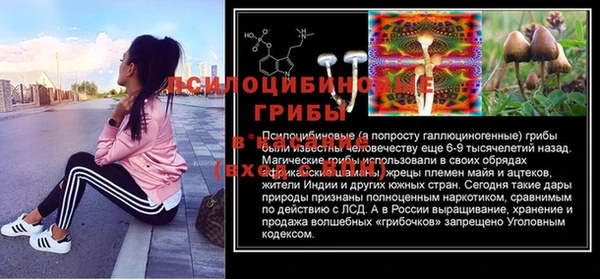 таблы Ельня
