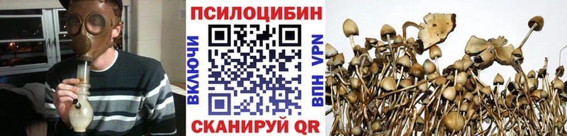 Псилоцибиновые грибы прущие грибы купить наркоту blacksprut ONION Анива